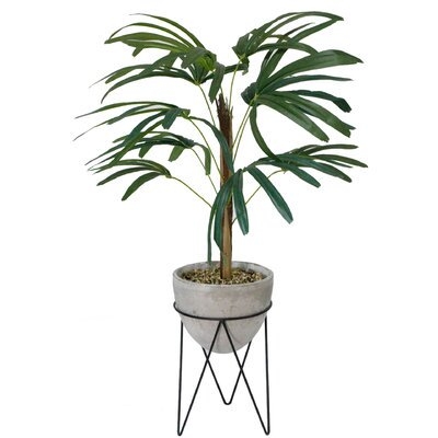 Palm Tree in Planter - Image 0