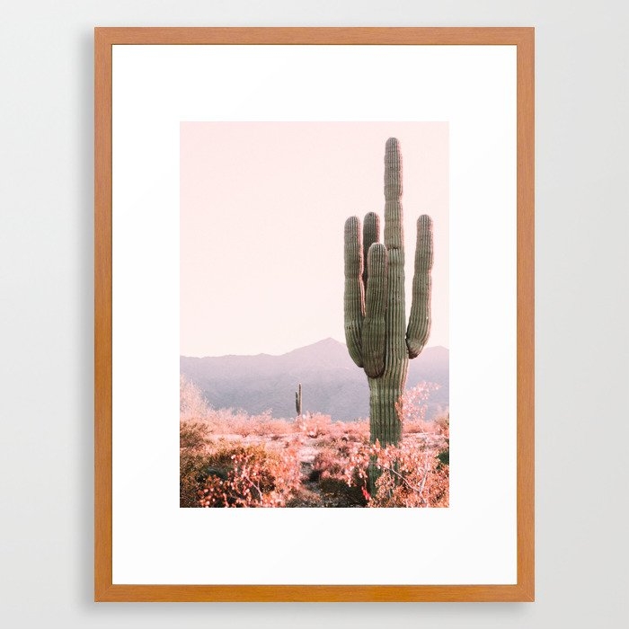 Vintage Cactus Framed Art Print - Image 0