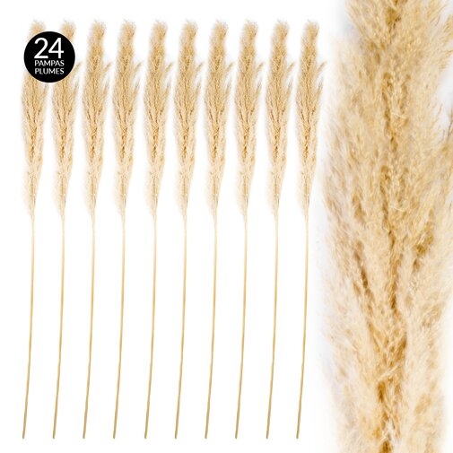 Real Dried Decor Plumes Pampas Grass Spray - Image 1