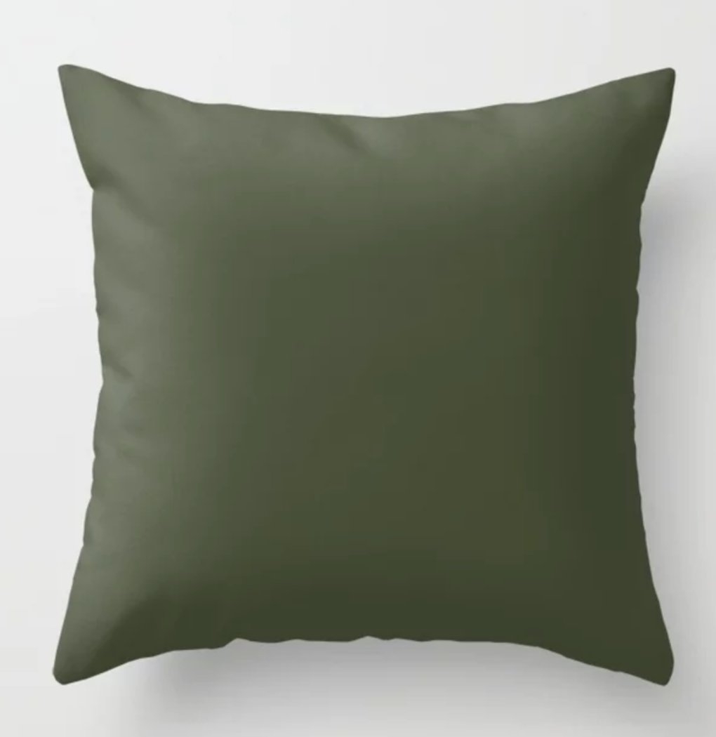 Cedar Creek ~ Moss Green Throw Pillow- Indoor Cover (20" x 20") with pillow insert - Image 0