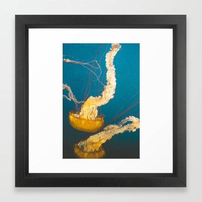 Pacific Sea Nettle Jellyfish I Framed Art Print - Image 0