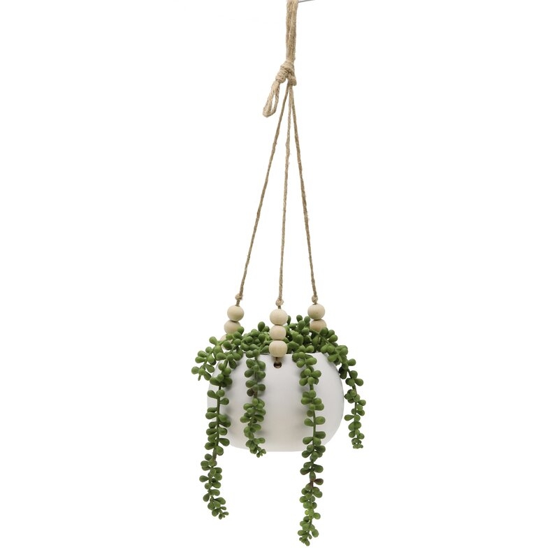 String Ivy Plant in Basket - Image 0