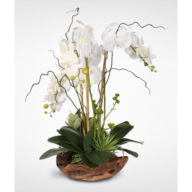 Orchids Floral Arrangement in Vase - Image 1