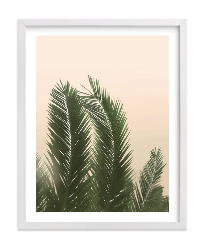 tropical palm tree - Image 0