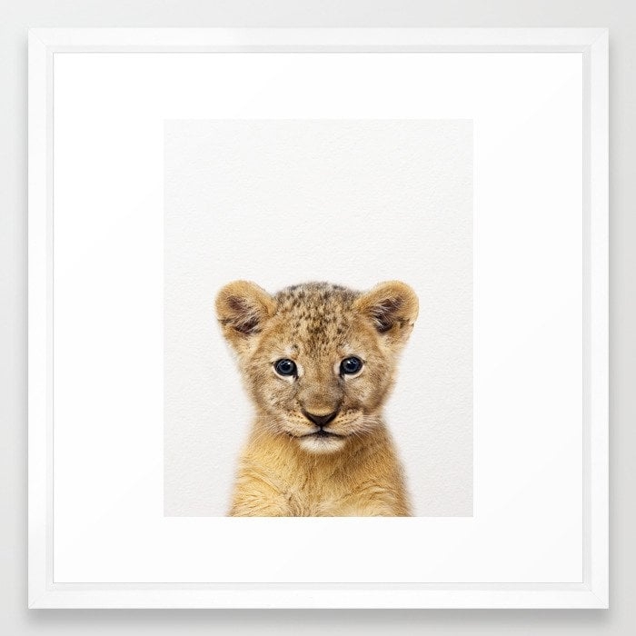 Baby Lion, Baby Animals Art Print By Synplus Framed Art Print - Image 0