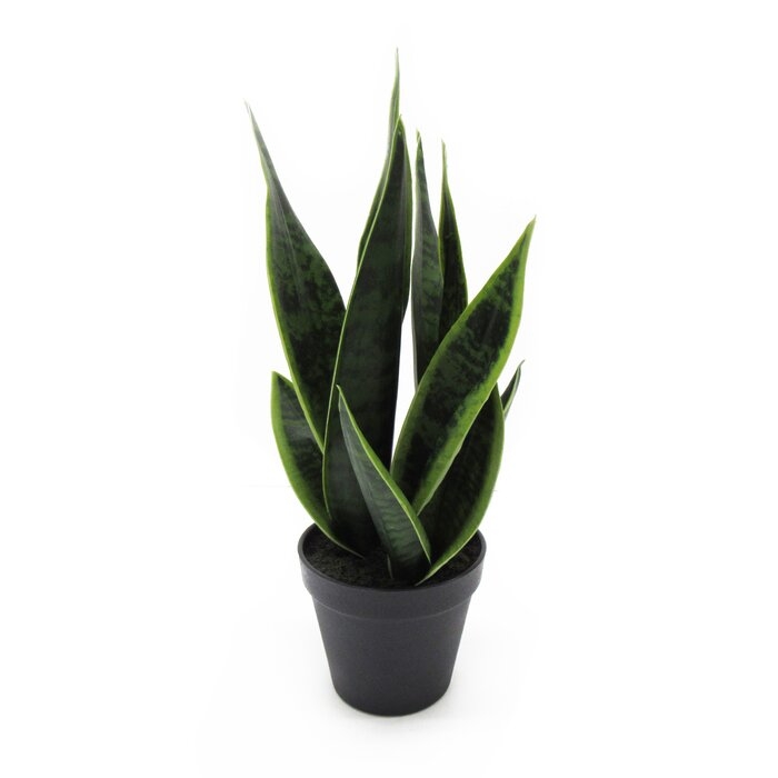 11.5'' Artificial Snake Plant in Pot - Image 1