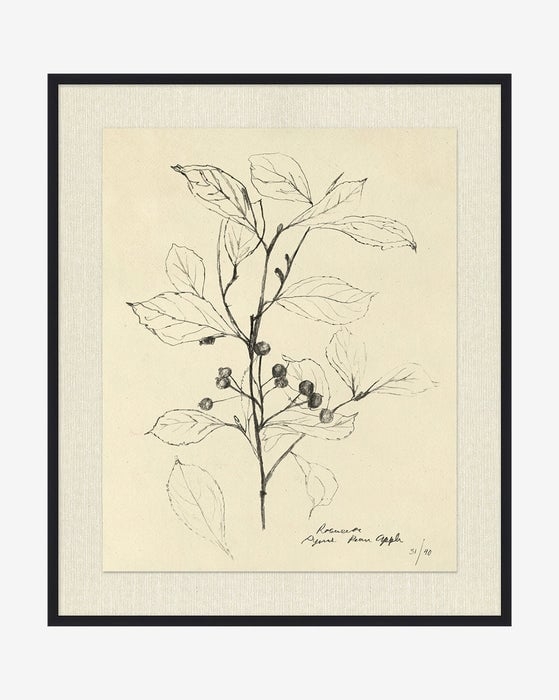 Floral Study 2 - Image 0