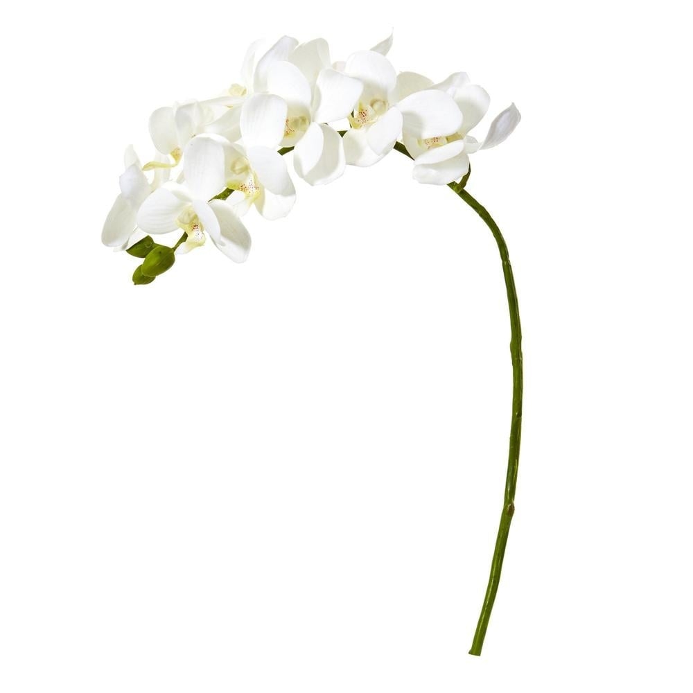 21” Phalaenopsis Orchid Artificial Flower (Set of 6) - Image 0
