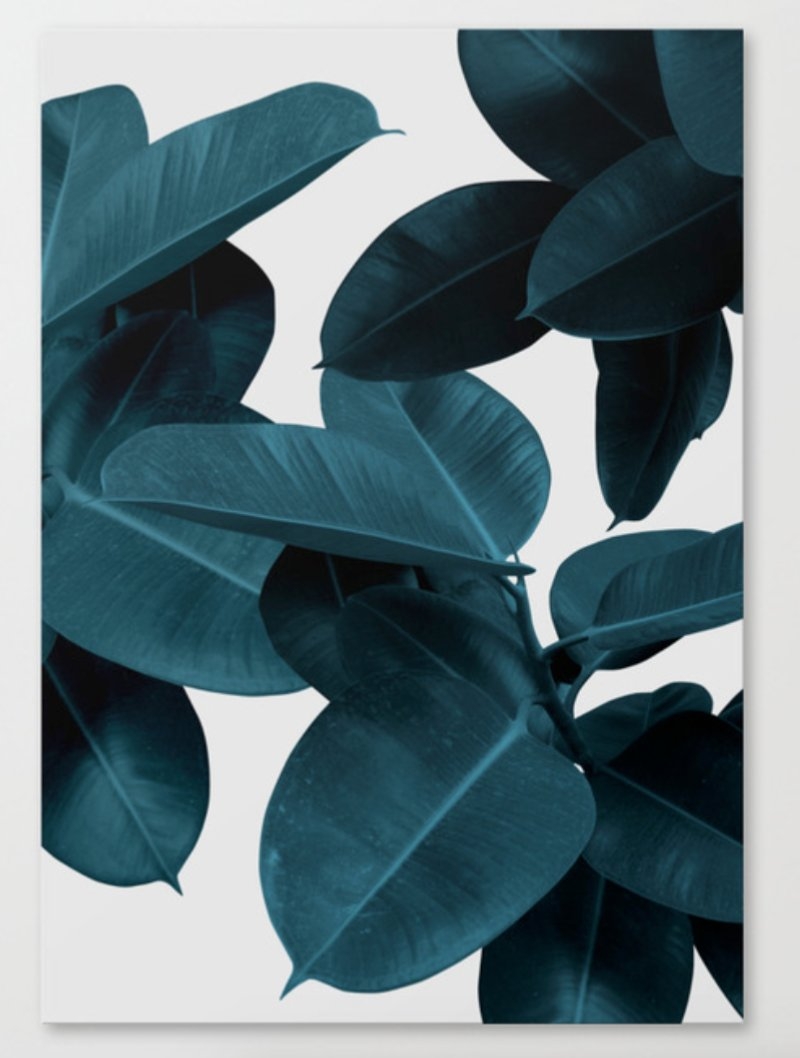 Indigo Plant Leaves Canvas Print - Image 0