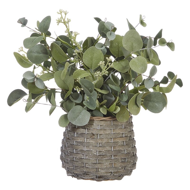 Arrangement Eucalyptus Plant in Basket - Image 0
