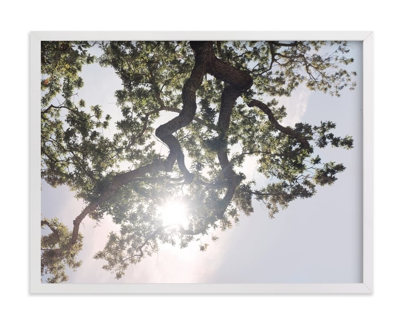 Elegant Oak Tree - 24" x 18", white frame - Image 0