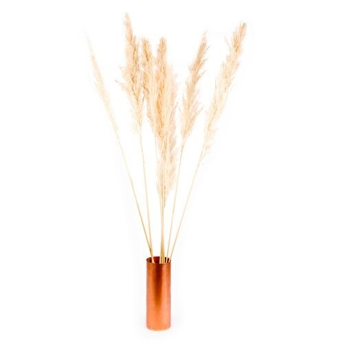 Real Dried Decor Plumes Pampas Grass Spray - Image 0
