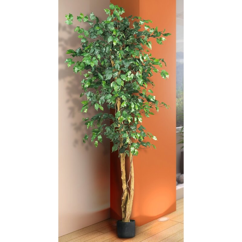 Artificial Ficus Tree in Planter - Image 4