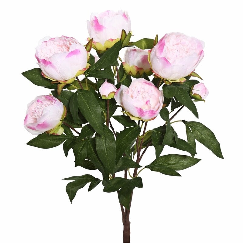 Peony Bush Stem (Set of 6) - Image 2