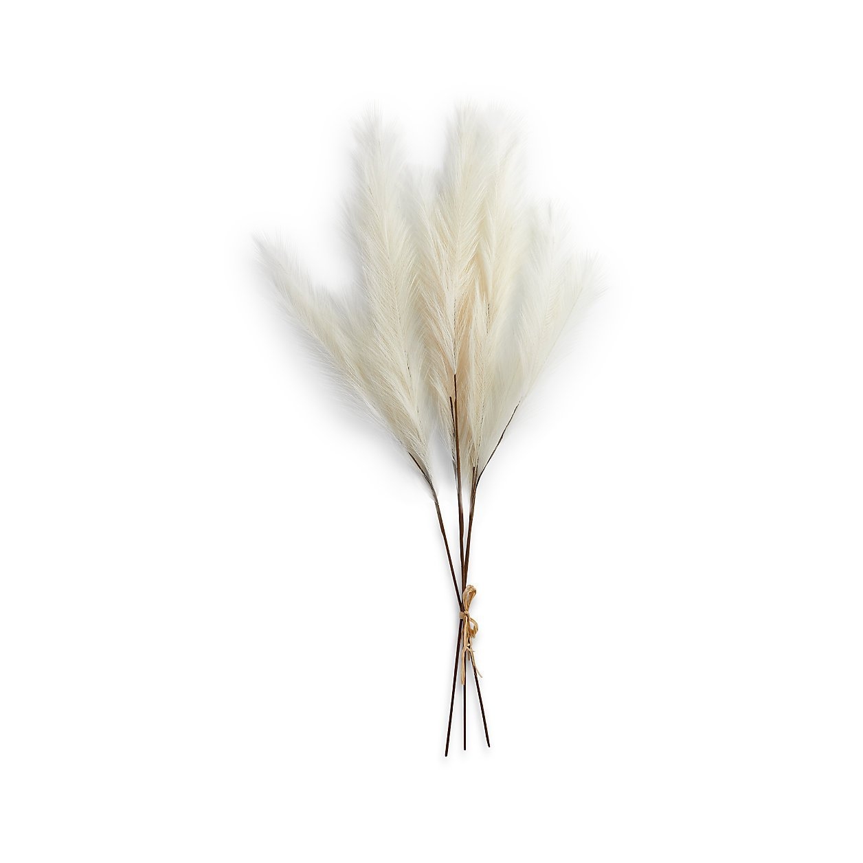 Faux Ivory Pampas Grass Bunch - Image 0