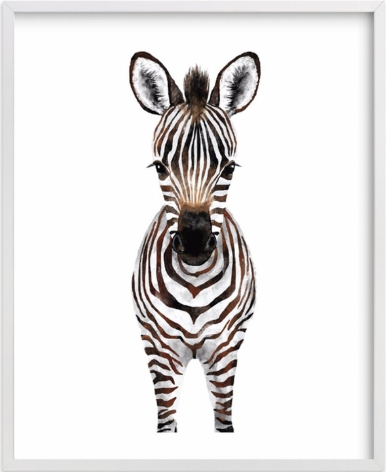 baby animal.zebra - Image 0
