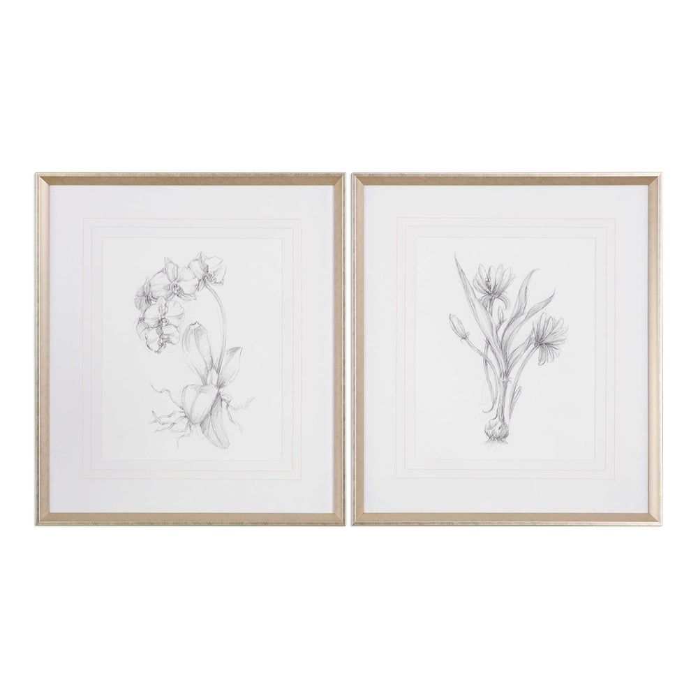 Botanical Sketches, S/2 - 28x32 - Silver/Taupe Frame-with mat - Image 0