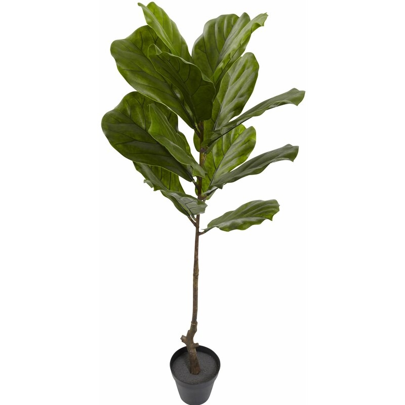 Foliage Tree in Pot - Image 1