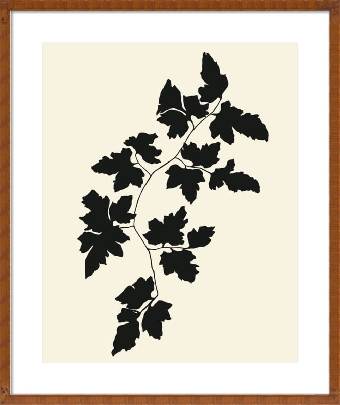 Vine II With Matte - Image 0