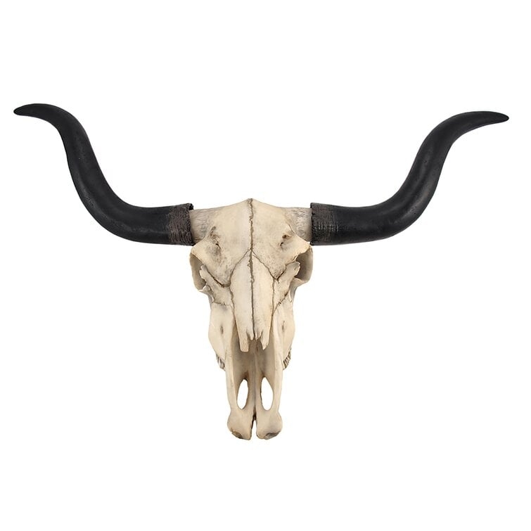 Longhorn Cow Skull Wall Décor - Image 0