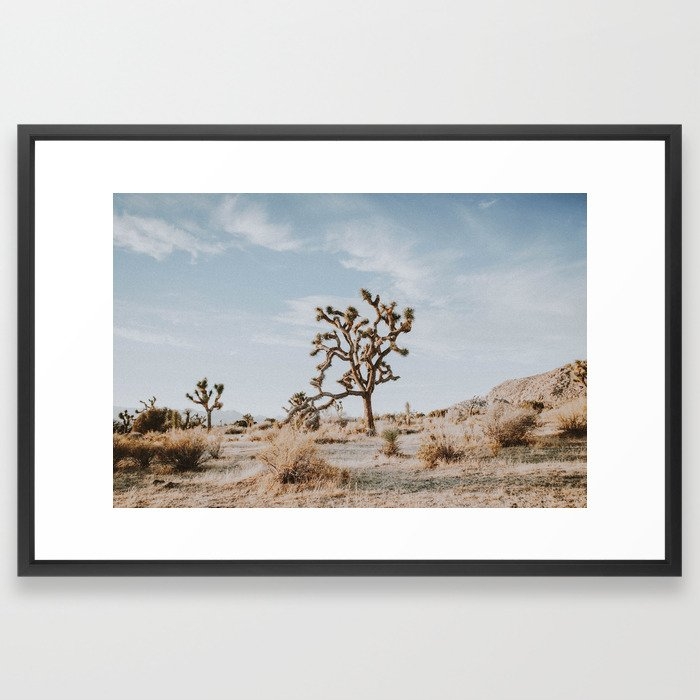 Joshua Tree II / California Desert Framed Art Print - Image 0