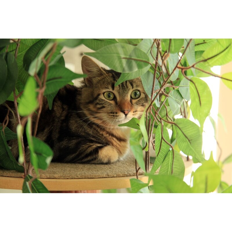 60" Henrietta Cat Tree Green/Brown - Image 4