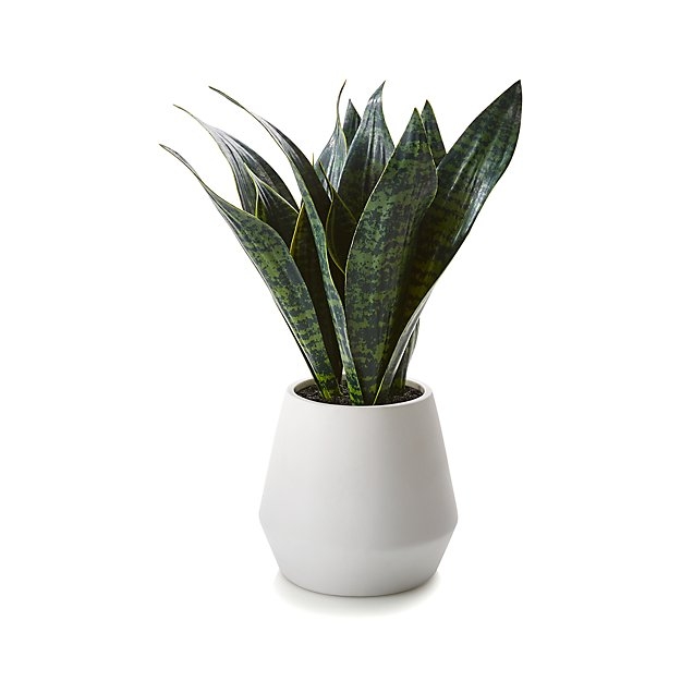 Faux Snake Plant in Pot - Image 1