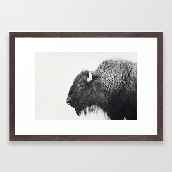 Buffalo Photograph in Black and White Framed Art Print - Image 0
