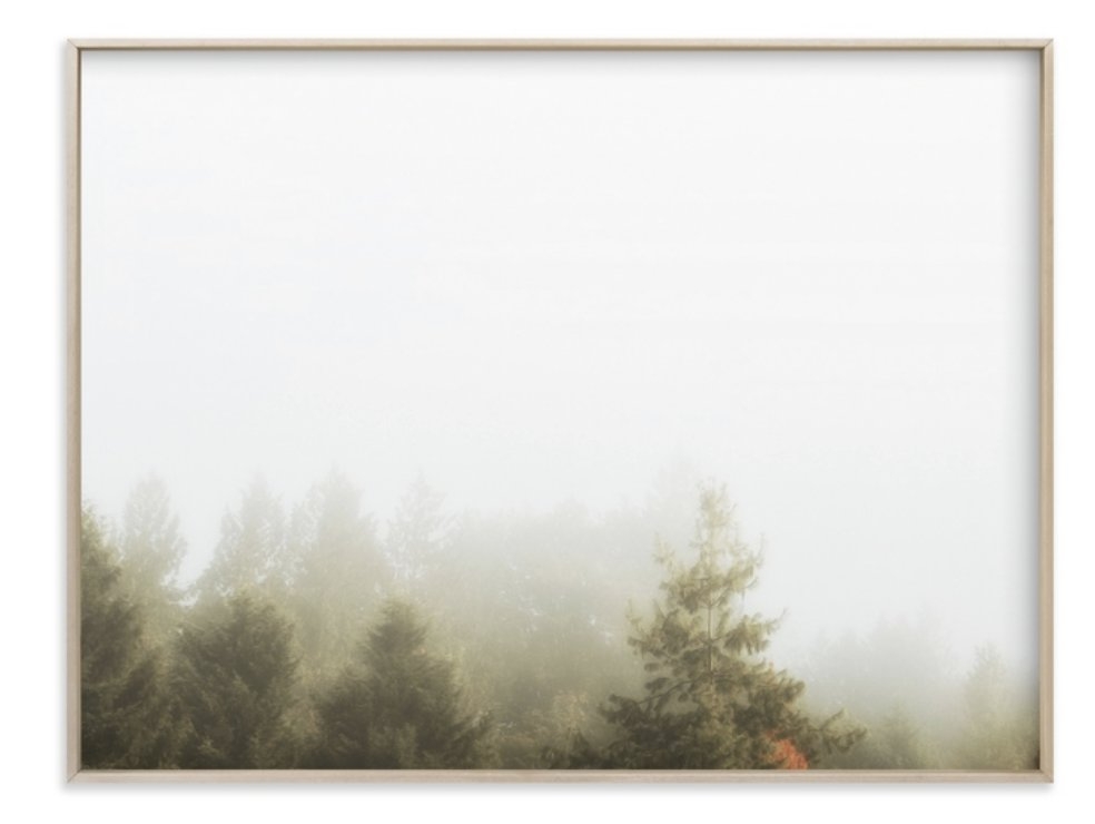 Foggy Autumn Forest Morning - Image 0