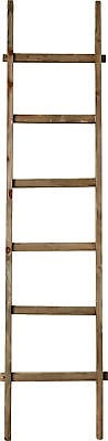 Foundry Select 6.5 ft Decorative Ladder - Image 1