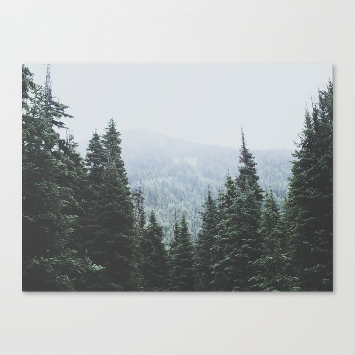 Forest Window Canvas Print - Large by Lukegramphotos - Image 0