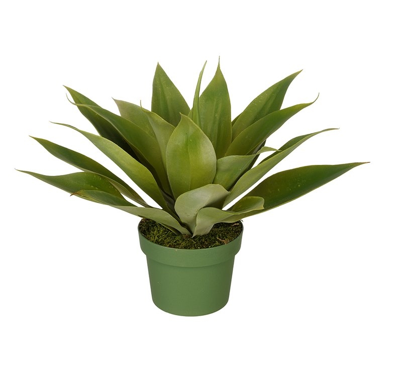 Faux Agave Plant in Planter Small - Image 0