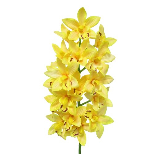 Mini Orchids Stem (Set of 4) - Image 1