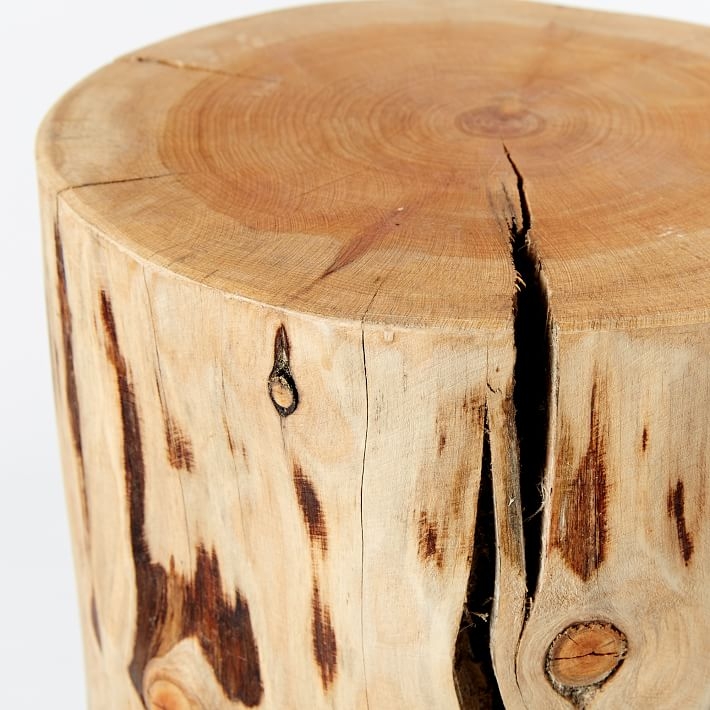 Natural Tree-Stump Side Table (White Glove Delivery) - Image 1