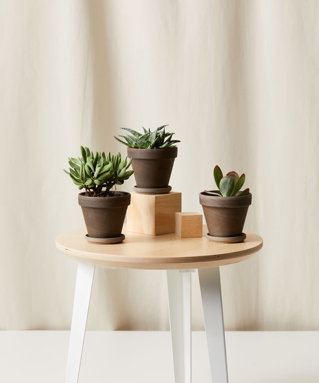 Jack Frost Collection - Image 0