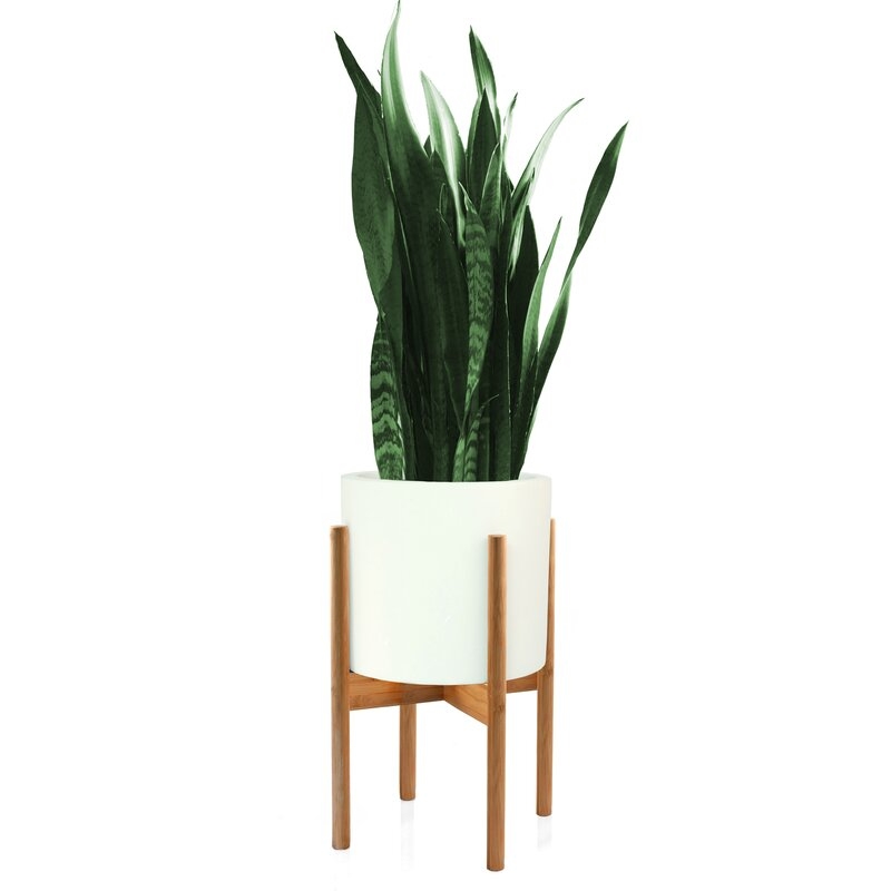 Plant Stand - Image 1