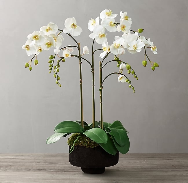 FAUX ORCHID PLANT FOR WEATHERED STONE TULIP PEDESTAL BOWL - SMALL - Image 0