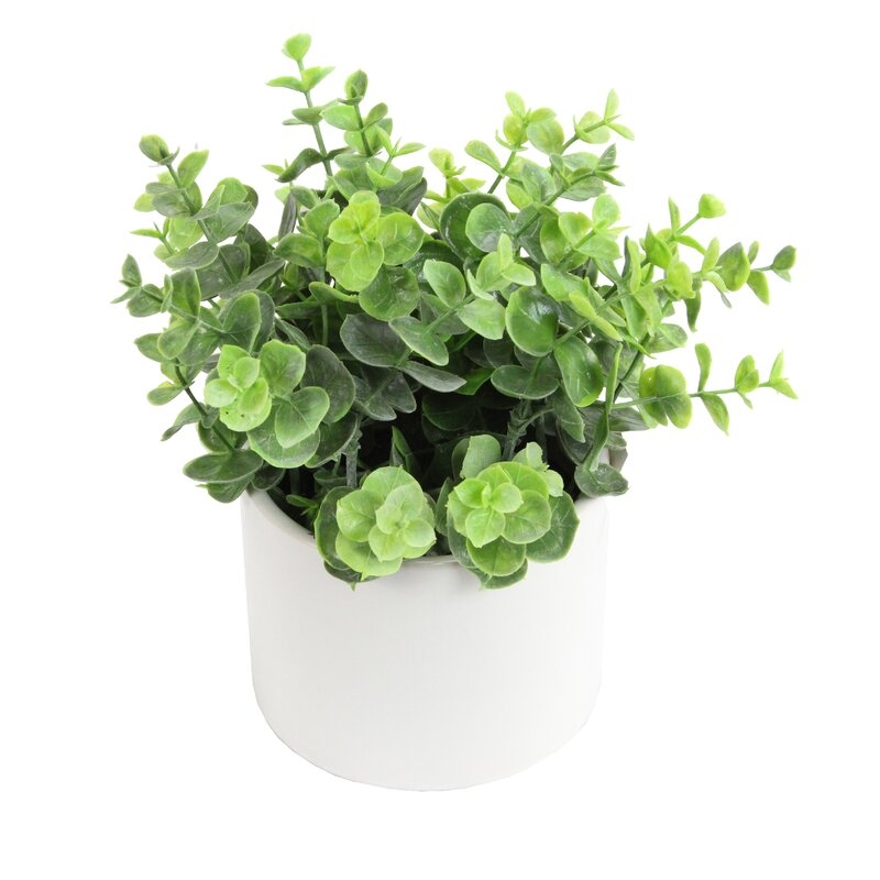 Artificial Eucalyptus Plant Centerpiece in Pot - Image 0