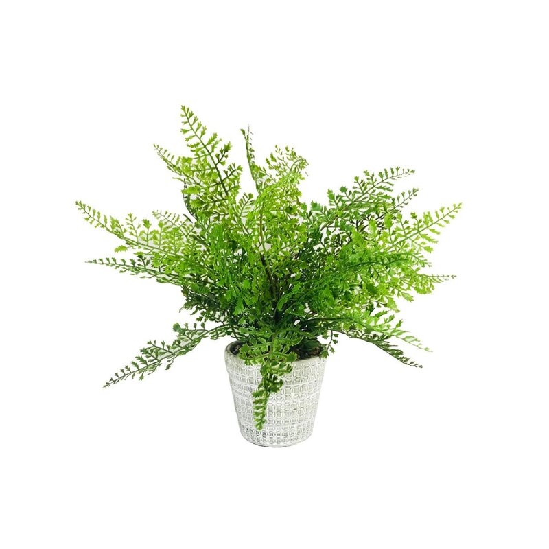 9.5'' Artificial Fern Plant in Pot - Image 0