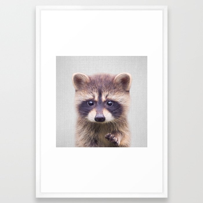 Raccoon - Colorful Framed Art Print - Image 0