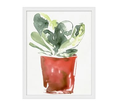 Potted Succulent 4 - 15 x 19 - Image 0