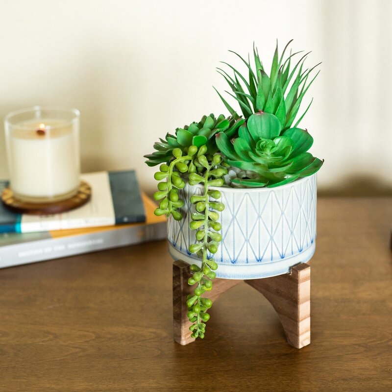 Agave Succulent in Planter - Image 0