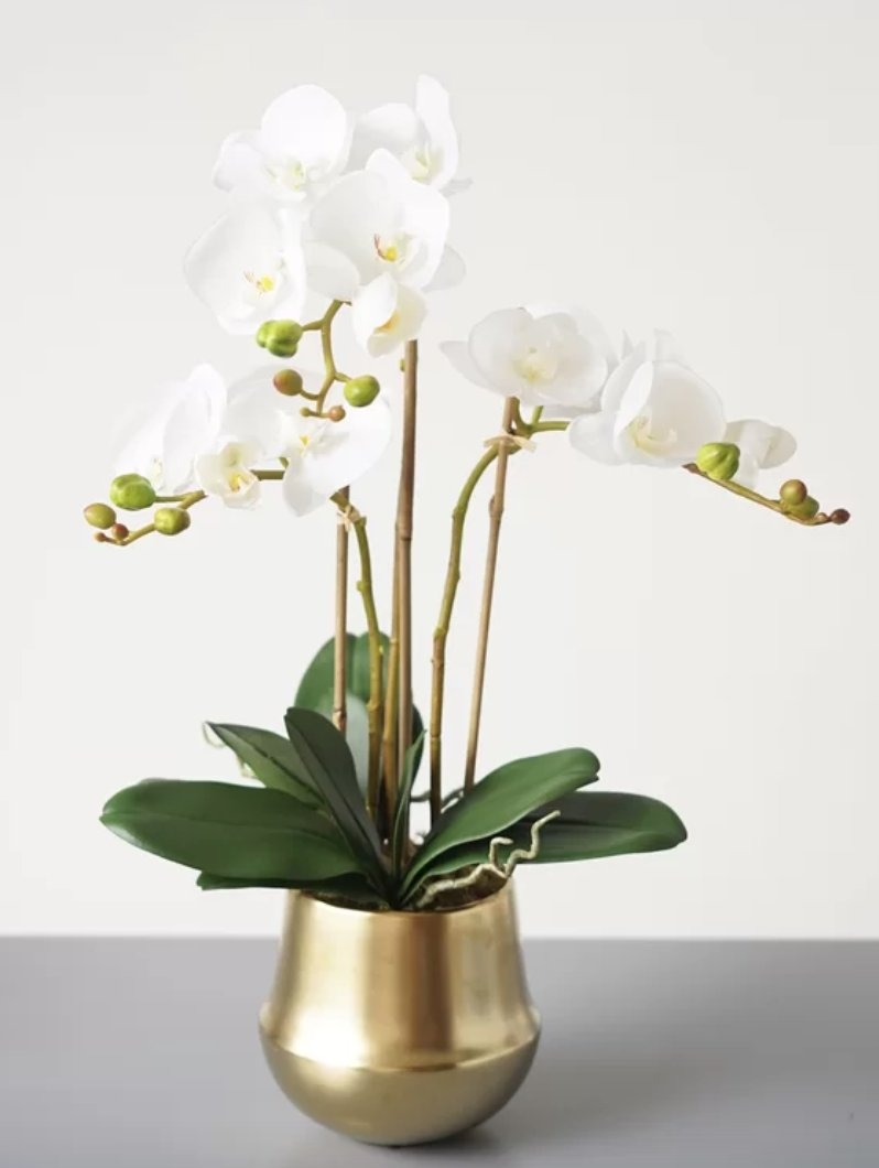 Faux Butterfly Orchid Floral Arrangement in Ceramic Vase - Image 0
