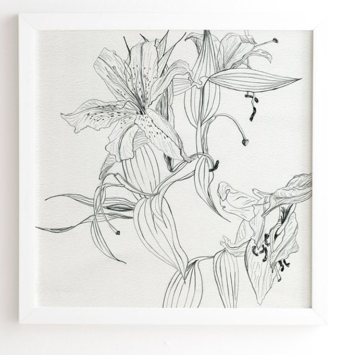 PENCIL LILIES -  White Framed Wall Art - Image 0