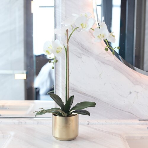 Double Phalaenopsis Orchid Floral Arrangement in Ceramic Vase - Image 0