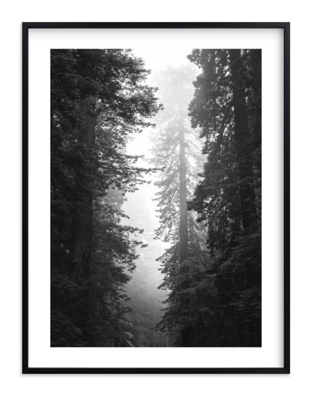 redwood morning 30 x 40" black wood frame - Image 0