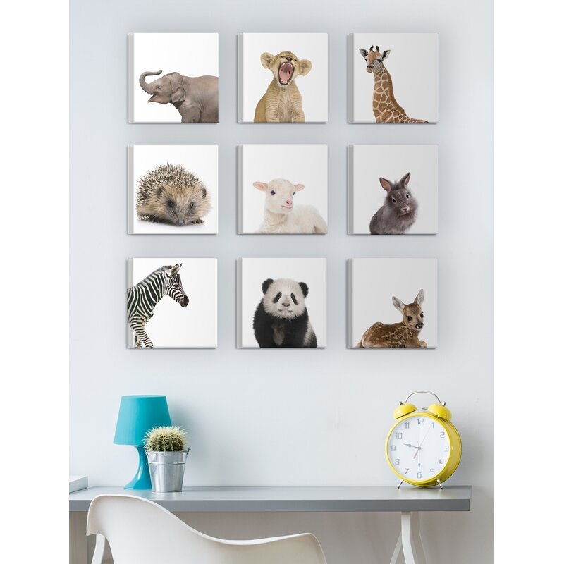 'Baby Animal Studio Portraits' 9 Piece Canvas Wall Art Set - Image 2