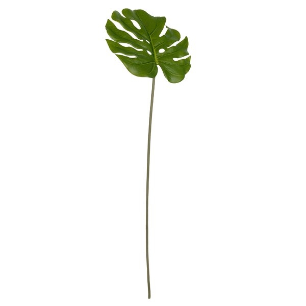 Monstera Leaf Stem - Image 0