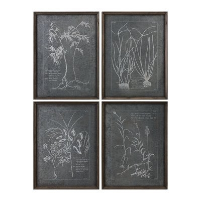 Root Study 4 Piece Framed Graphic Art Set - Image 0