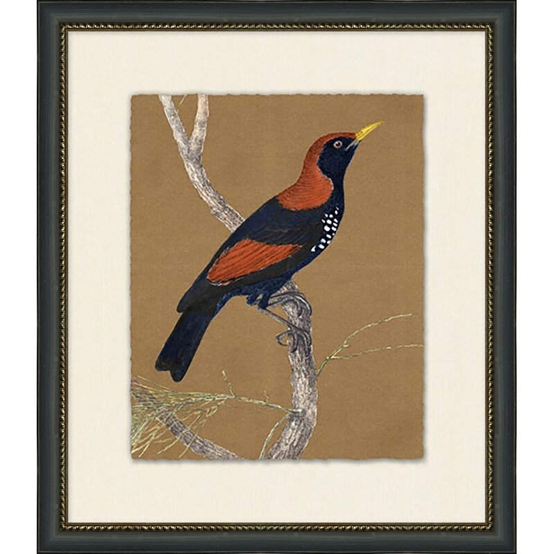 Wendover Art Group Autumn Bird 6 - Picture Frame Painting Print - Image 0